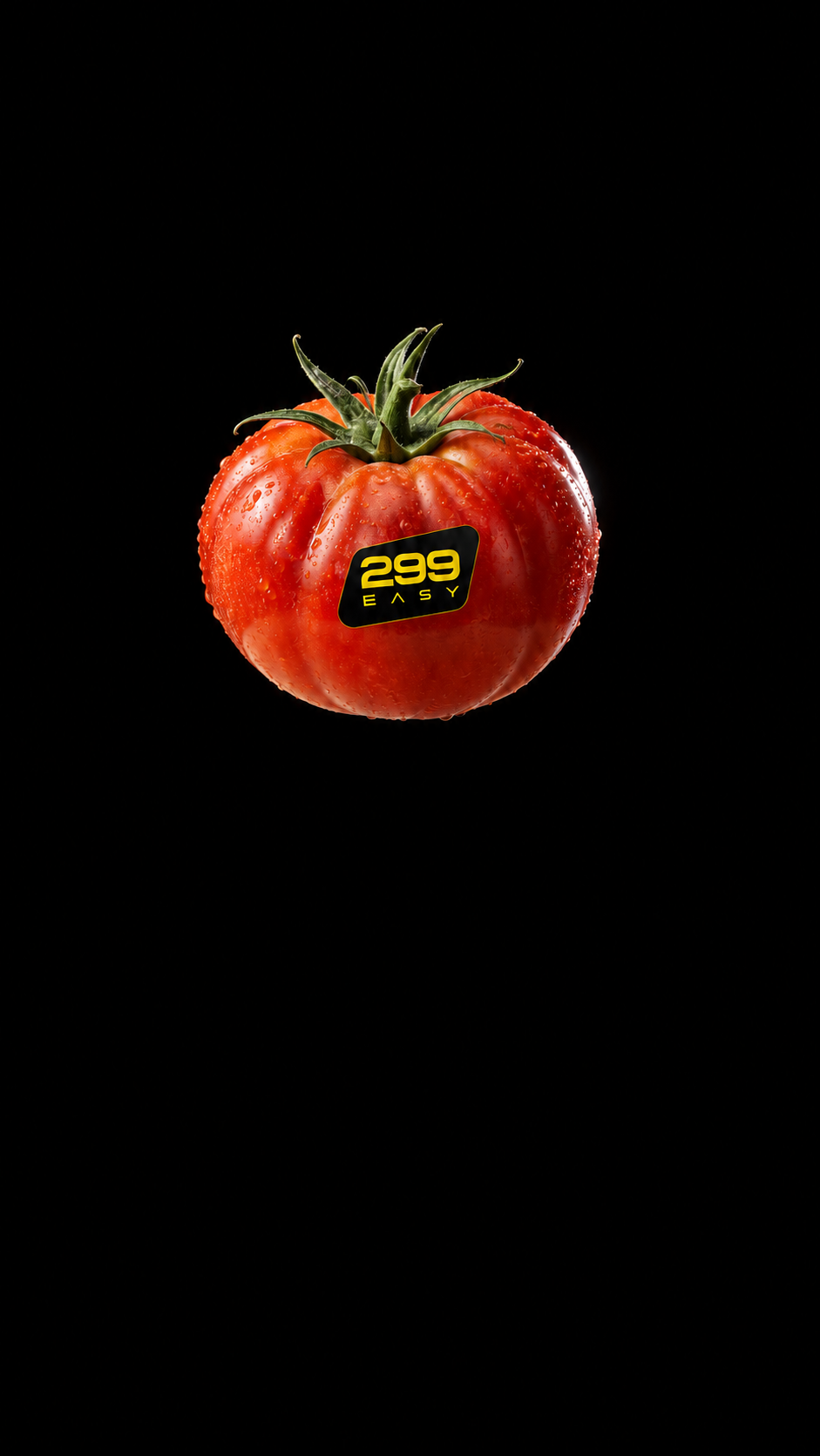 Pomodoro della dimostrazione pizzeria 299 Easy